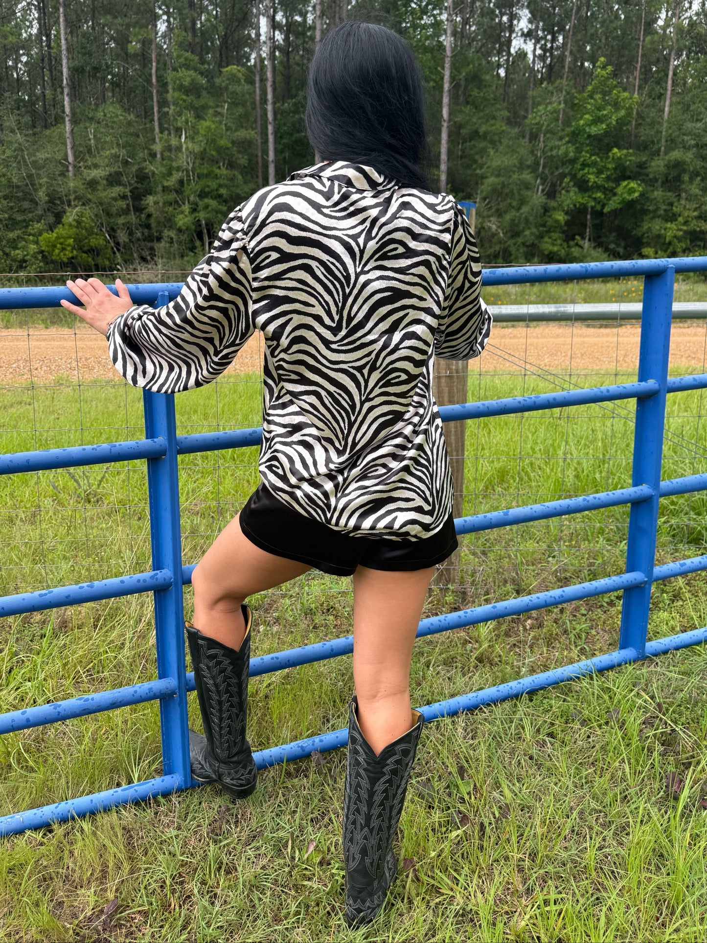 The Zebra Button Up